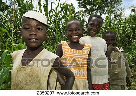Stock Photo - Agriculture - A group of smiling African boys and girls pose next to a farm field of maize (corn) / Kenya, Africa.. Fotosearch
