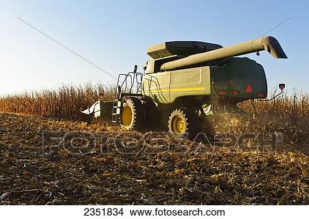 Picture - Agriculture - A John Deere combine (model 9670 STS) harvests mature grain corn in late afternoon Autumn light / Southern Iowa, USA.. Fotosearch
