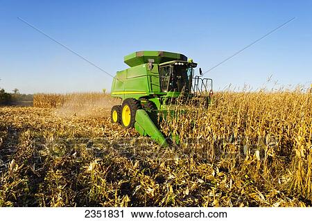 Agriculture - A John Deere combine (model 9670 STS) harvests mature grain corn in late afternoon Autumn light / Southern Iowa, USA. View Large Photo Image Stock Image - Agriculture - A John Deere combine (model 9670 STS) harvests mature grain corn in late afternoon Autumn light / Southern Iowa, USA.. Fotosearch