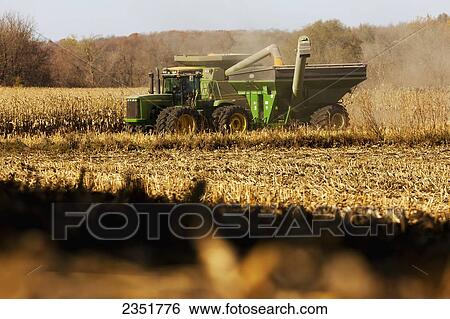 Stock Photograph - Agriculture - A John Deere combine harvests grain corn in Autumn while augering the harvested corn into a grain wagon. Fotosearch