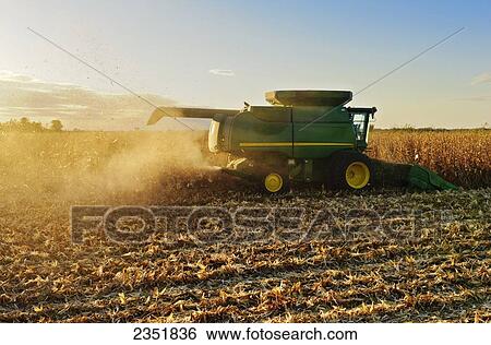 Stock Photograph - Agriculture - A John Deere combine (model 9670 STS) harvests mature grain corn in late afternoon Autumn light / Southern Iowa, USA.. Fotosearch