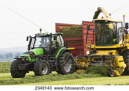 Stock Image - Agriculture - A self propelled forager and tractor with silage wagon in the field collecting cut and windrowed silage / near Penrith, Cumbria, England, United Kingdom.. Fotosearch