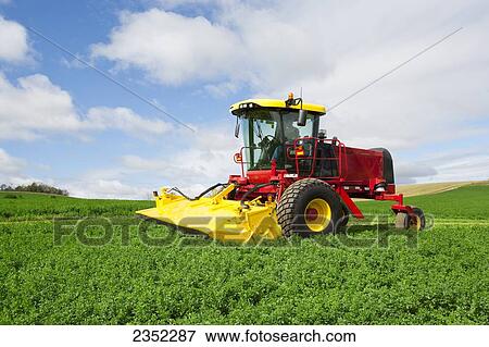 Stock Photo - Agriculture - A self propelled New Holland Discmower silage harvester cuts and windrows alfalfa / near Madison, Wisconsin, USA.. Fotosearch