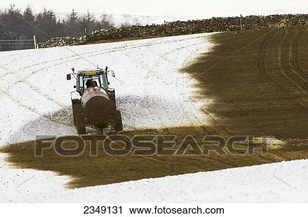 Agriculture - A tractor and slurry wagon spreading animal manure slurry fertilizer on a snow covered field in Winter / near Ravenstonedale, Cumbria, England, United Kingdom. View Large Photo Image Stock Image - Agriculture - A tractor and slurry wagon spreading animal manure slurry fertilizer on a snow covered field in Winter / near Ravenstonedale, Cumbria, England, United Kingdom.. Fotosearch