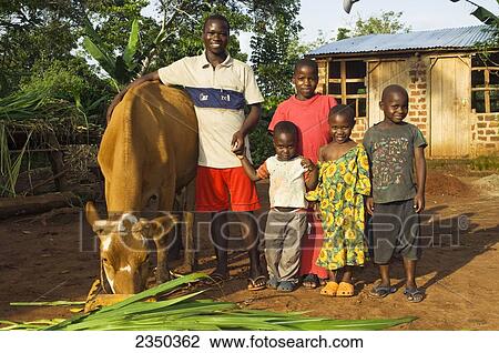 Agriculture - An African man and his four children pose with their Ayrshire dairy cow feeding on cut grass. The cow is used to produce milk and calves to sell and for meat / Uganda, Africa. View Large Photo Image Stock Image - Agriculture - An African man and his four children pose with their Ayrshire dairy cow feeding on cut grass. The cow is used to produce milk and calves to sell and for meat / Uganda, Africa.. Fotosearch