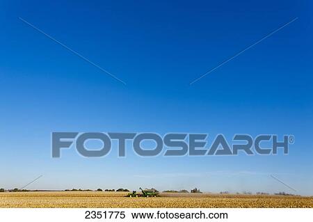 Stock Photography - Agriculture - Expansive view of a John Deere combine harvesting grain corn in Autumn and augering the harvested corn into a grain wagon. Fotosearch
