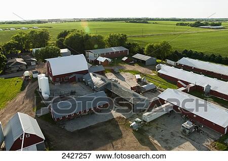 Stock Photo - Agriculture - High view of a large farming operation, including swine confinement facilities, cultivated fields in the background / near Northrop, Minnesota, USA.. Fotosearch
