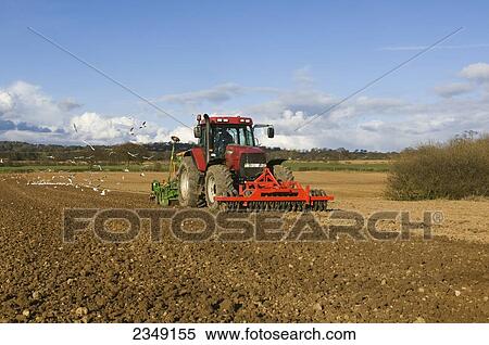 Stock Photography - Agriculture - Planting dry beans with a pneumatic seed drill mounted on a Case Maxxum tractor fitted with front mounted discs / Cheshire, England, United Kingdom.. Fotosearch