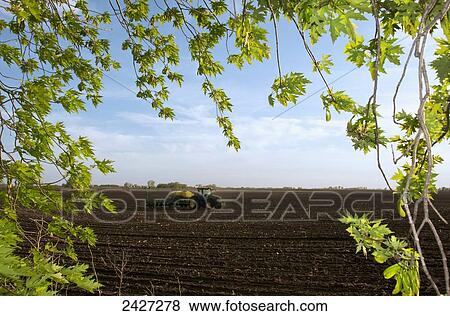 Agriculture - View through tree foliage of a tractor and planter planting soybeans in spring / near Truman, Minnesota, USA. View Large Photo Image Stock Photo - Agriculture - View through tree foliage of a tractor and planter planting soybeans in spring / near Truman, Minnesota, USA.. Fotosearch