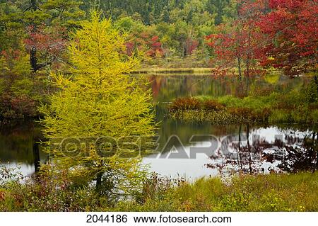 Stock Photograph - Autumn On Third Lake, St. Mary's Near Jordanville, Nova Scotia. Fotosearch