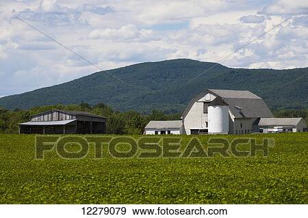 Barn and shed with soya bean field in foreground; Bromont, Quebec, Canada View Large Photo Image Stock Photo - Barn and shed with soya bean field in foreground; Bromont, Quebec, Canada. Fotosearch