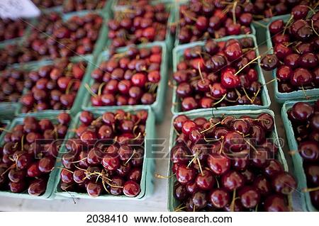 Baskets Of Cherries At The Brampton, Ontario, Farmers' Market. View Large Photo Image Stock Image - Baskets Of Cherries At The Brampton, Ontario, Farmers' Market.. Fotosearch