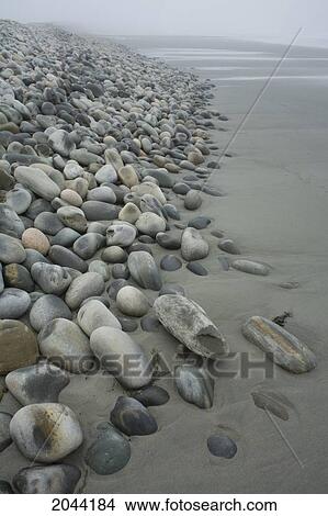 Beach Cobble Barrier In Fog Near Port Bickerton Lighthouse, Nova Scotia View Large Photo Image Picture - Beach Cobble Barrier In Fog Near Port Bickerton Lighthouse, Nova Scotia. Fotosearch