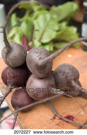 Bunch Of Raw Beets At A Farmers Market View Large Photo Image Stock Photo - Bunch Of Raw Beets At A Farmers Market. Fotosearch
