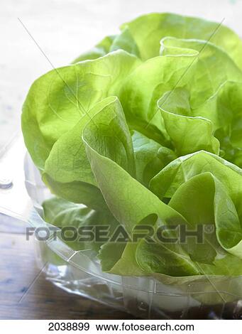 Stock Photo - Close Up Of Packaged Lettuce. Fotosearch