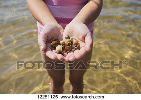 Close up of young girl holding sea shells while standing in shallow water of Crystal Lake; Ontario, Canada View Large Photo Image Stock Photography - Close up of young girl holding sea shells while standing in shallow water of Crystal Lake; Ontario, Canada. Fotosearch
