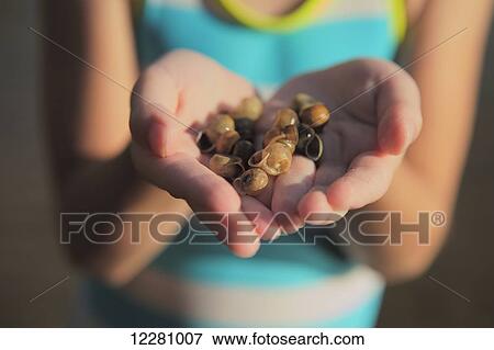 Close up of young girl holding shells in her hands; Ontario, Canada View Large Photo Image Stock Photo - Close up of young girl holding shells in her hands; Ontario, Canada. Fotosearch