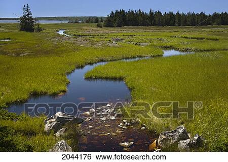 Coastal Estuary On Port Joli Harbour, Nova Scotia View Large Photo Image Stock Photograph - Coastal Estuary On Port Joli Harbour, Nova Scotia. Fotosearch
