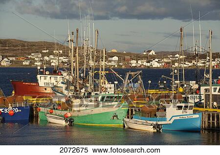 Crab Fishing Boats, Joe Batt's Arm, Fogo Island, Newfoundland & Labrador View Large Photo Image Stock Photography - Crab Fishing Boats, Joe Batt's Arm, Fogo Island, Newfoundland & Labrador. Fotosearch