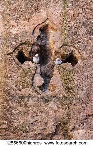 Stock Photograph - Cruciform window in the Tomb of Adam in the Northern Group of the Rock-Hewn Churches, Lalibela, Amhara Region, Ethiopia. Fotosearch
