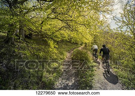 Cycling in the english countryside; Tring, Borough of Dacorum, Hertfordshire, England View Large Photo Image Stock Image - Cycling in the english countryside; Tring, Borough of Dacorum, Hertfordshire, England. Fotosearch