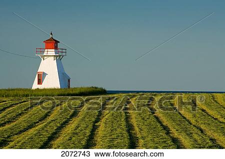 Darnley Lighthouse, Surrounded By Hay Field, Prince Edward Island View Large Photo Image Stock Image - Darnley Lighthouse, Surrounded By Hay Field, Prince Edward Island. Fotosearch