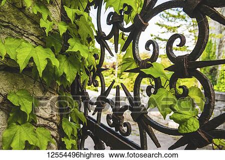 Stock Photograph - Decorative gate of Duino Castle; Italy. Fotosearch