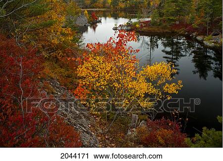 Stock Image - Fall Colours At Three Mile Lake, Nova Scotia. Fotosearch