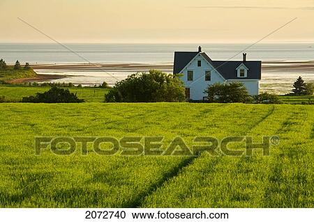 Farm House Overlooking Northumberland Strait, Desable, Prince Edward Island View Large Photo Image Stock Image - Farm House Overlooking Northumberland Strait, Desable, Prince Edward Island. Fotosearch