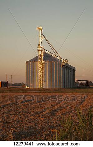 Farmer's grain bin facility storing rice, corn and soybeans; England, Arkansas, United States of America View Large Photo Image Stock Image - Farmer's grain bin facility storing rice, corn and soybeans; England, Arkansas, United States of America. Fotosearch