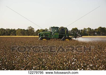 Farmer's rig applying harvest aid product; England, Arkansas, United States of America View Large Photo Image Stock Photography - Farmer's rig applying harvest aid product; England, Arkansas, United States of America. Fotosearch