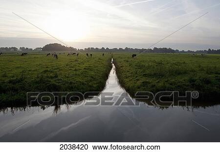 Farmland At Dawn, Amstelveen, Netherlands View Large Photo Image Stock Image - Farmland At Dawn, Amstelveen, Netherlands. Fotosearch