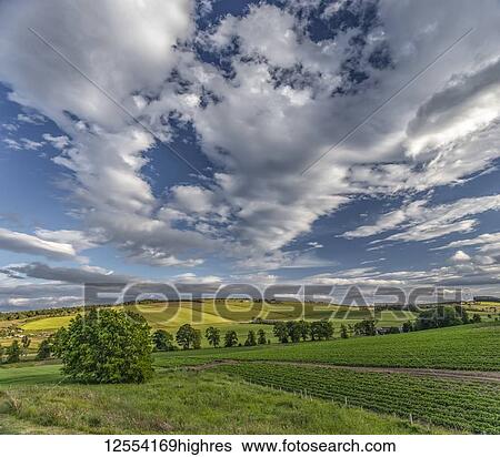 Stock Photograph - Farmland on rolling hills on the Black Isle; Rosemarkie, Ross and Cromarty, Scotland. Fotosearch