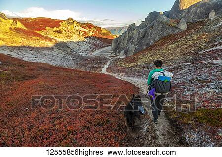 Stock Photograph - Female backpacker, backpacking with her dog on the Kesugi Ridge Trail in autumn, Denali State Park; Alaska, United States of America. Fotosearch