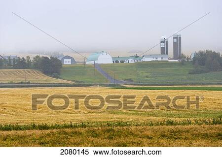 Fields And Farm In Bas-Saint-Laurent Region; Mont-Joli, Quebec, Canada View Large Photo Image Stock Photography - Fields And Farm In Bas-Saint-Laurent Region; Mont-Joli, Quebec, Canada. Fotosearch