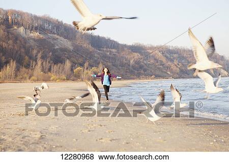 Girl at beach running through flock of seagulls; Toronto, Ontario, Canada View Large Photo Image Stock Photo - Girl at beach running through flock of seagulls; Toronto, Ontario, Canada. Fotosearch