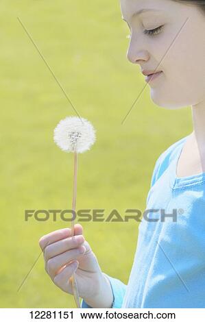 Stock Image - Girl holding dandelion seed head; Toronto, Ontario, Canada. Fotosearch