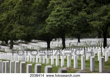Gravestones In Arlington National Cemetery. Arlington, Va, Usa. View Large Photo Image Picture - Gravestones In Arlington National Cemetery. Arlington, Va, Usa.. Fotosearch