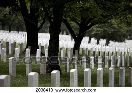 Stock Image - Gravestones In Arlington National Cemetery. Arlington, Va, Usa.. Fotosearch