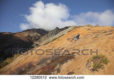 Hiker talking on a cell phone while on sheep Mountain, Talkeetna Mountains, Southcentral Alaska View Large Photo Image Stock Image - Hiker talking on a cell phone while on sheep Mountain, Talkeetna Mountains, Southcentral Alaska. Fotosearch