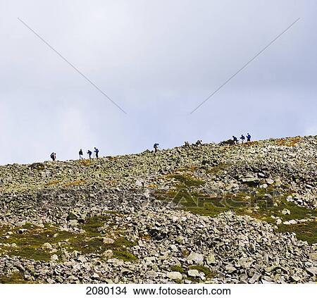 Hikers On Mont Jacques-Cartier In Gaspesie National Park; Quebec, Canada View Large Photo Image Picture - Hikers On Mont Jacques-Cartier In Gaspesie National Park; Quebec, Canada. Fotosearch