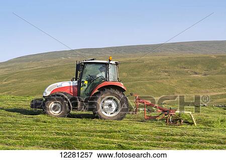 Stock Photo - Hill farmer spreading grass in hay meadow, with Steyr tractor, to dry out and make hay; Cumbria, England. Fotosearch