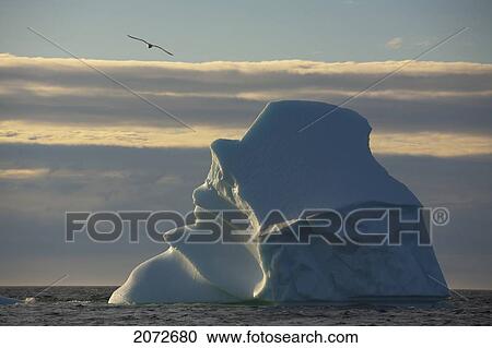 Icebergs Off Coast Of Fogo Island, Newfoundland & Labrador View Large Photo Image Stock Image - Icebergs Off Coast Of Fogo Island, Newfoundland & Labrador. Fotosearch