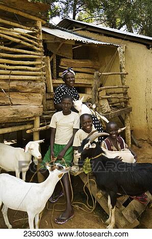 Livestock - An African woman and her children pose in front of their hut with their herd of goats / Kenya, Africa. View Large Photo Image Stock Image - Livestock - An African woman and her children pose in front of their hut with their herd of goats / Kenya, Africa.. Fotosearch