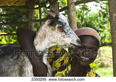Stock Photography - Livestock - An African woman poses with her arm around the neck of her goat / Kenya, Africa.. Fotosearch