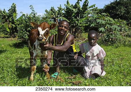 Livestock - An African young man and young girl beside their young calf / Kenya, Africa. View Large Photo Image Picture - Livestock - An African young man and young girl beside their young calf / Kenya, Africa.. Fotosearch