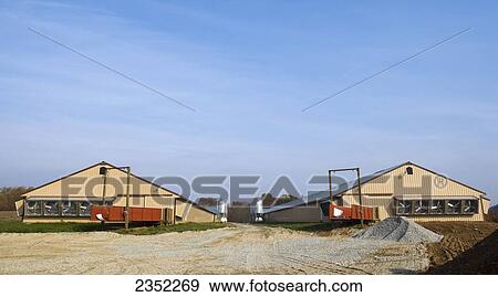 Stock Photo - Livestock - Poultry finishing houses and silos / near Buck, Pennsylvania, USA.. Fotosearch