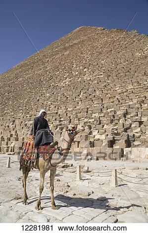 Stock Image - Local man on his camel, Great Pyramid of Cheops in the background, The Giza Pyramids; Giza, Egypt. Fotosearch