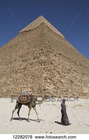 Local man walking his camel, Pyramid of Chephren, Giza Pyramids; Giza, Egypt View Large Photo Image Stock Photo - Local man walking his camel, Pyramid of Chephren, Giza Pyramids; Giza, Egypt. Fotosearch