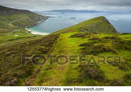 Lush grassy hills and a beach along the coast of Ireland; Ireland View Large Photo Image Stock Photograph - Lush grassy hills and a beach along the coast of Ireland; Ireland. Fotosearch